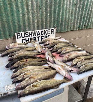 Fishing for giants at Lake St. Clair!